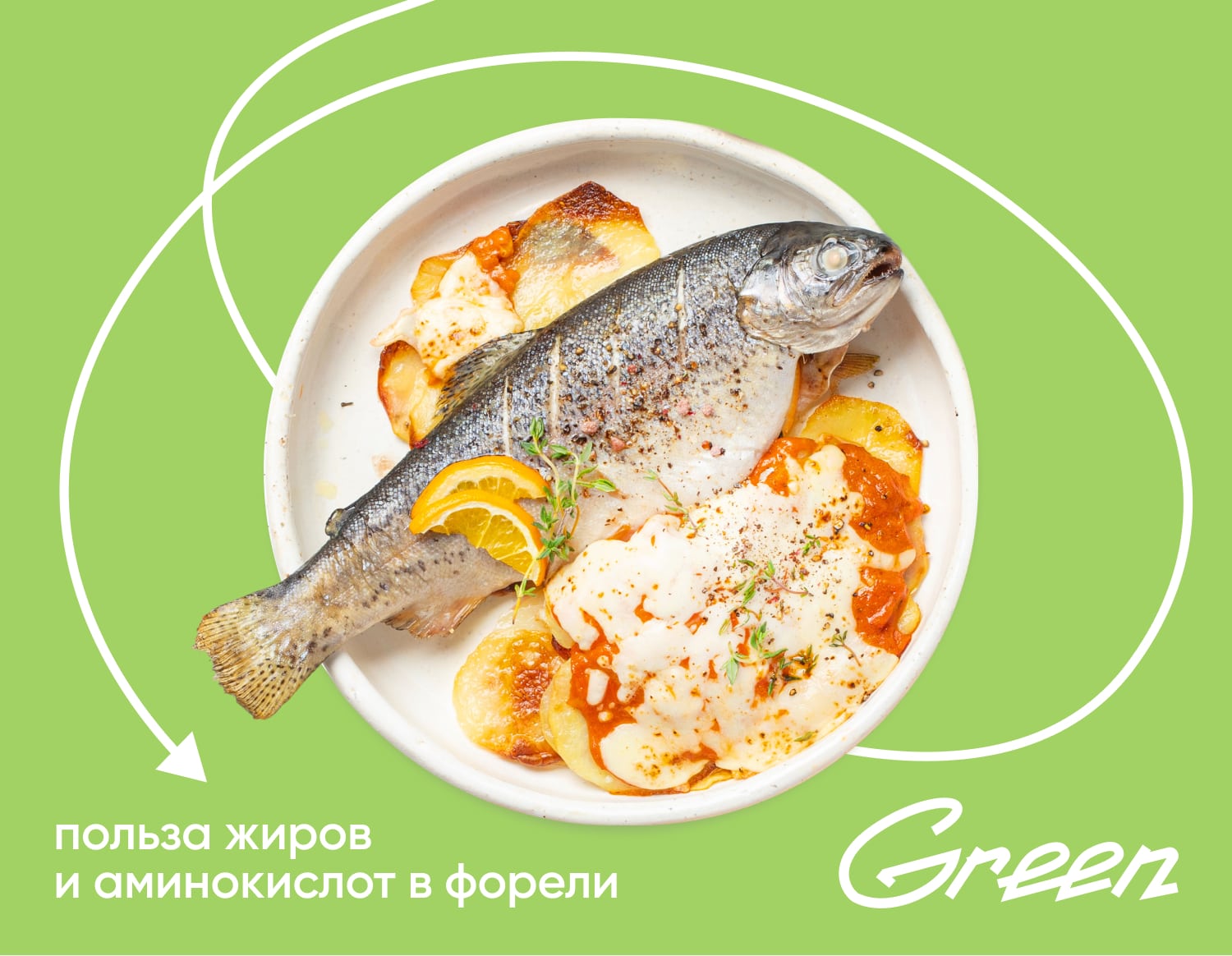 Форель и гратен