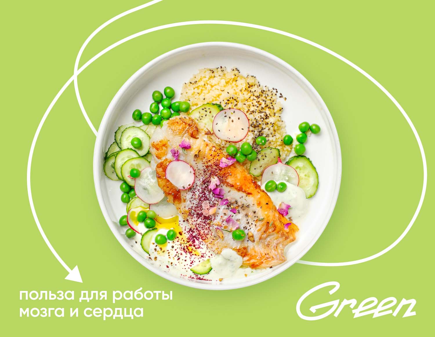 Окунь с дзадзики